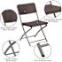 Carnegy Avenue Brown Metal Folding Chair (2-Pack)
