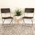 Carnegy Avenue Brown Metal Folding Chair (2-Pack)