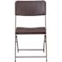 Carnegy Avenue Brown Metal Folding Chair (2-Pack)