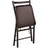 Flash Furniture Brown Metal Folding Chair (2-Pack)