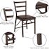 Flash Furniture Brown Metal Folding Chair (2-Pack)