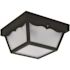 10.25 in. Black Square Outdoor Ceiling Flush Mount Fixture