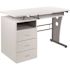 Carnegy Avenue 47.25 in. White Rectangular 3 -Drawer Computer Desk with Keyboard Tray