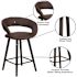 Carnegy Avenue 33.25 in. Brown Bar Stool (Set of 2)