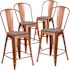 Carnegy Avenue 24 in Copper Bar Stool (Set of 4)