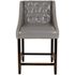 Carnegy Avenue 24 in. Light Gray Leather Bar stool (Set of 2)