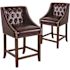 Carnegy Avenue 24 in. Brown Leather Bar stool (Set of 2)