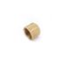 Anderson Metals 1/2 in. Brass Flare Cap (10-Bag)