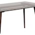 Carnegy Avenue 31.5 in. x 55 in. Walnut/Glass Table