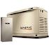 10,000 Watt - Dual Fuel Air- Cooled Whole House Home Standby Generator, Smart Home Monitoring, 100-AMP Transfer Switch