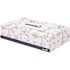 Renown 2-Ply Flat Box Facial Tissue (100-Count)