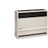 Williams 30,000 BTUH 66% AFUE Direct-Vent Propane Gas Gravity Wall Heater