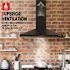 GASLAND 30 in. Wall Mount Range Hood with Aluminum Filters LED Lights Push Button Control in in Black Stainless Steel