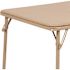 Carnegy Avenue Tan Kid's Table