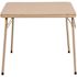 Carnegy Avenue Tan Kid's Table