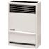 Williams 14,000 BTU Direct Vent Gravity Natural Gas Heater with High Altitude Orifices