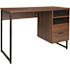 Carnegy Avenue 45 in. Rectangular Rustic 1 Drawer Computer Desks with File Storage