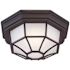 Cordelia Lighting 1-Light Black Integrated LED Outdoor Flush Mount Light