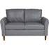 Carnegy Avenue 52.3 in. Gray Faux Leather 2-Seater Loveseat with Square Arms