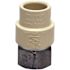 Apollo 1/2 in. x 1/2 in. CPVC CTS Slip Stainless Steel FPT Adapter