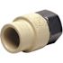 Apollo 1/2 in. x 1/2 in. CPVC CTS Slip Stainless Steel FPT Adapter