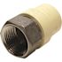 Apollo 3/4 in. x 3/4 in. CPVC CTS Slip Stainless Steel FPT Adapter