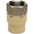 Apollo 3/4 in. x 3/4 in. CPVC CTS Slip Stainless Steel FPT Adapter