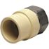 Apollo 3/4 in. x 3/4 in. CPVC CTS Slip Stainless Steel FPT Adapter