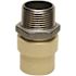 Apollo 3/4 in. x 3/4 in. CPVC CTS Slip Stainless Steel MPT Adapter