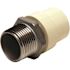 Apollo 3/4 in. x 3/4 in. CPVC CTS Slip Stainless Steel MPT Adapter
