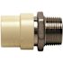 Apollo 3/4 in. x 3/4 in. CPVC CTS Slip Stainless Steel MPT Adapter