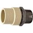 Apollo 3/4 in. x 3/4 in. CPVC CTS Slip Stainless Steel MPT Adapter