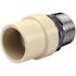 Apollo 1 in. x 1 in. CPVC CTS Slip Stainless Steel MPT Adapter