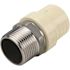 Apollo 1 in. x 1 in. CPVC CTS Slip Stainless Steel MPT Adapter