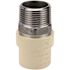 Apollo 1 in. x 1 in. CPVC CTS Slip Stainless Steel MPT Adapter