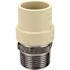 Apollo 1 in. x 1 in. CPVC CTS Slip Stainless Steel MPT Adapter