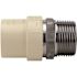 Apollo 1 in. x 1 in. CPVC CTS Slip Stainless Steel MPT Adapter