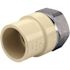Apollo 1 in. x 1 in. CPVC CTS Slip Stainless Steel FPT Adapter