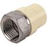 Apollo 1 in. x 1 in. CPVC CTS Slip Stainless Steel FPT Adapter