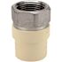 Apollo 1 in. x 1 in. CPVC CTS Slip Stainless Steel FPT Adapter