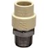 Apollo 1/2 in. x 1/2 in. CPVC CTS Slip Stainless Steel MPT Adapter