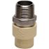 Apollo 1/2 in. x 1/2 in. CPVC CTS Slip Stainless Steel MPT Adapter