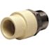 Apollo 1/2 in. x 1/2 in. CPVC CTS Slip Stainless Steel MPT Adapter