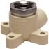 Apollo 1/2 in. x 1/2 in. CPVC CTS Slip FPT 90-Degree Drop Ear Elbow Stainless Steel