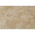 MSI Riviera 2 cm. x 16 in. x 24 in. Travertine Paver Tile (160.2 sq. ft./pallet)