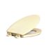 CENTOCO Centocore Elongated Closed Front Toilet Seat in Biscuit