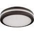LiteCo Black Outdoor LED Bug Proof Ceiling or Wall Lantern
