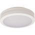LiteCo White Outdoor LED Bug Proof Ceiling or Wall Lantern