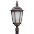 LiteCo Black Outdoor Dark Sky LED Post Top Lantern