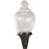 LiteCo Black Outdoor Dark Sky LED Post Top Acorn